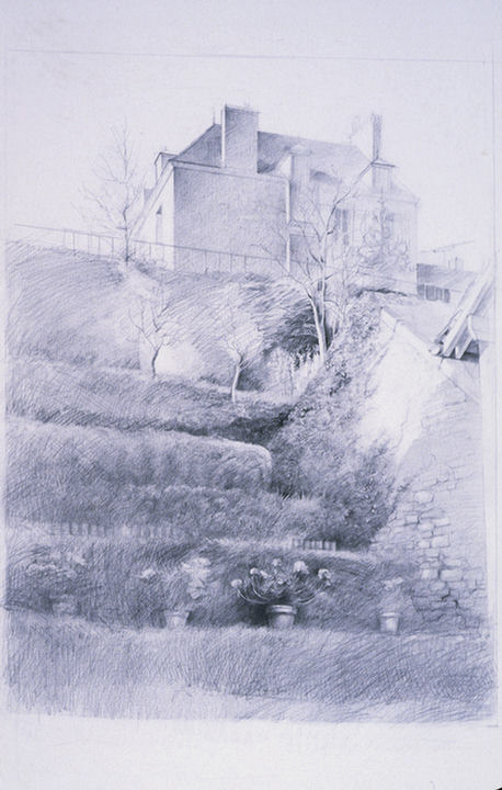 Study For Terraced Garden